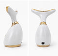 SRAM-101 Rechargeable Facial & Neck Beauty Massager | Skin Care Device | White & Gold